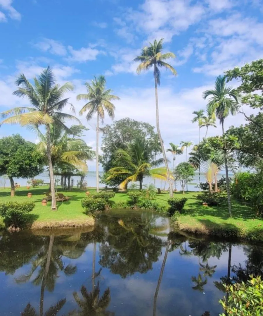 Hotel Ameya Kerala Alappuzha India