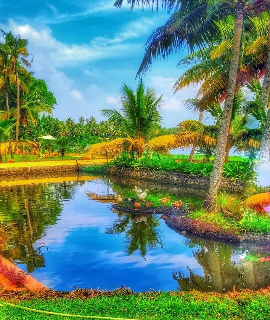 Hotel Ameya Kerala Alappuzha
