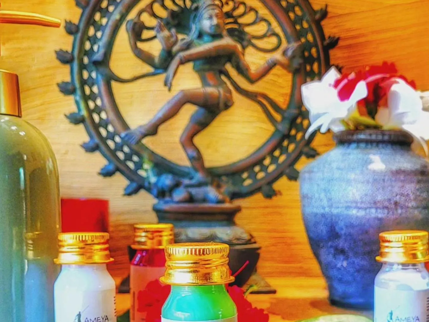 Hotel Ameya Kerala Alappuzha