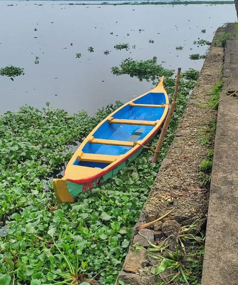 Hotel Ameya Kerala Alappuzha India